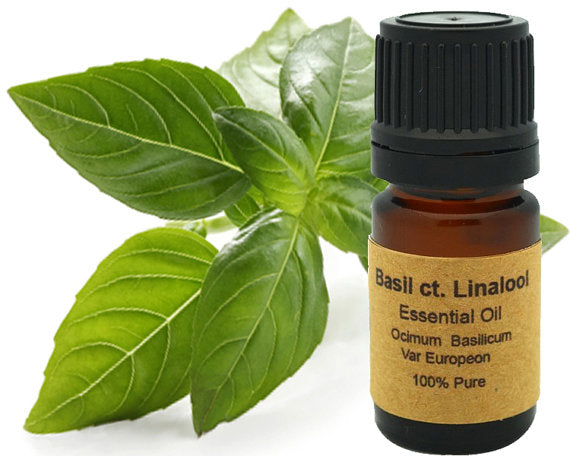 Basil CT. Linalool Essential Oil 10 ml or 15 ml.