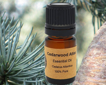 Cedarwood Atlas Essential Cedarus Atlantica Oil 5ml, 10 ml or 15 ml