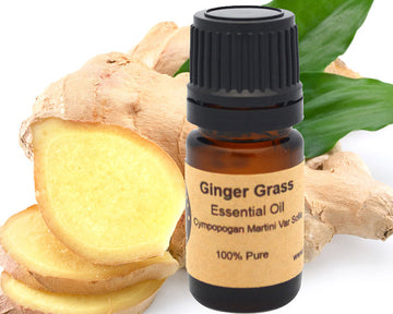 Ginger Grass Essential Oil 15 ml 100% Pure