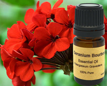 Geranium Bourbon Essential Oil 15ml 100% Pure