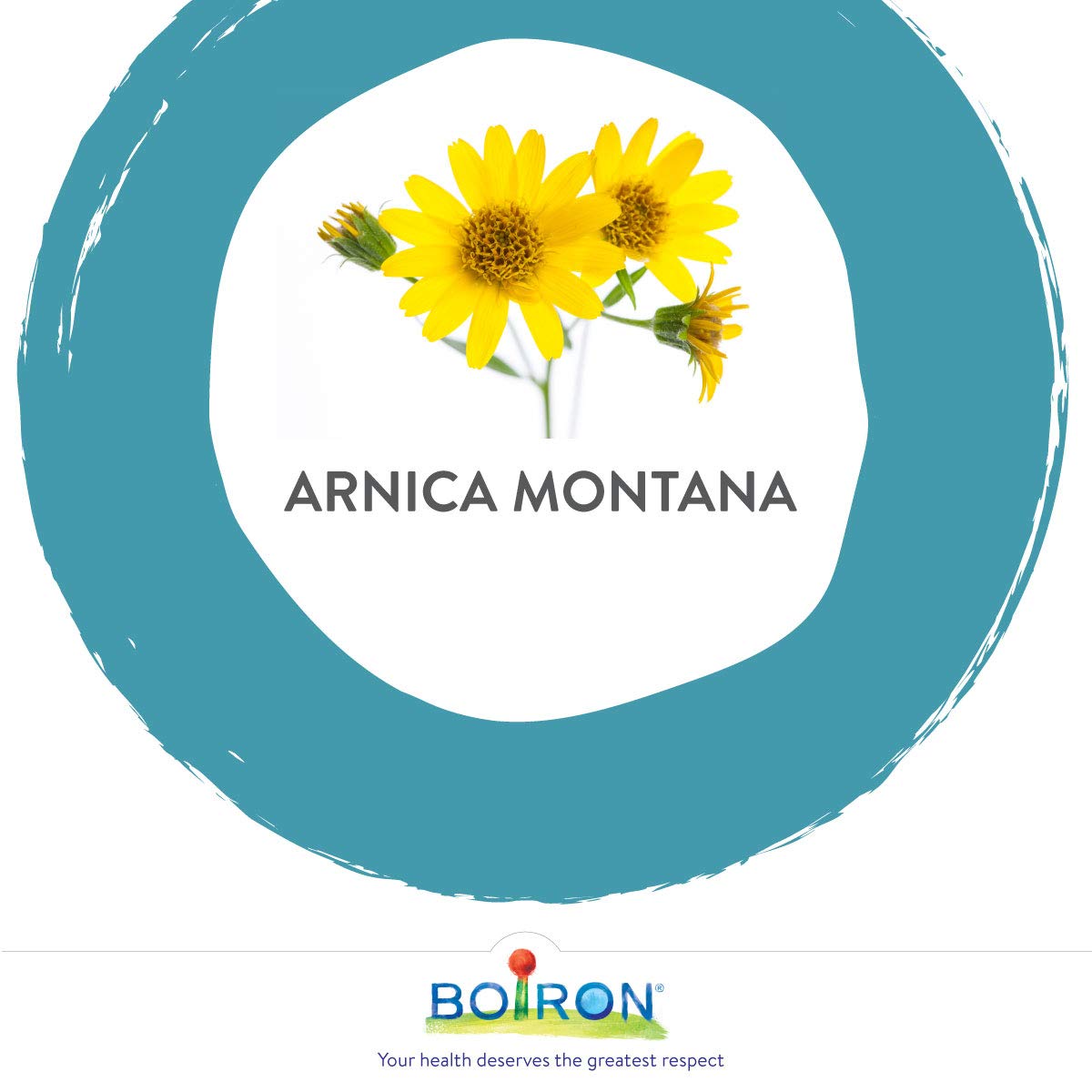 Boiron - Arnica Montana 200CH Blister (80ct 68)